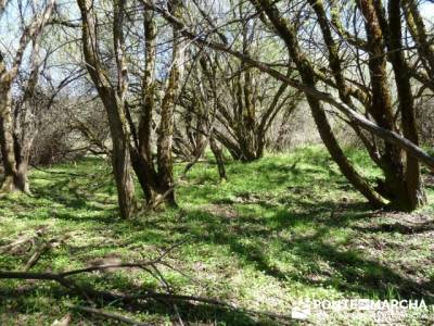 La pradera de la ermita de San Benito;senderos madrid;singles senderismo madrid